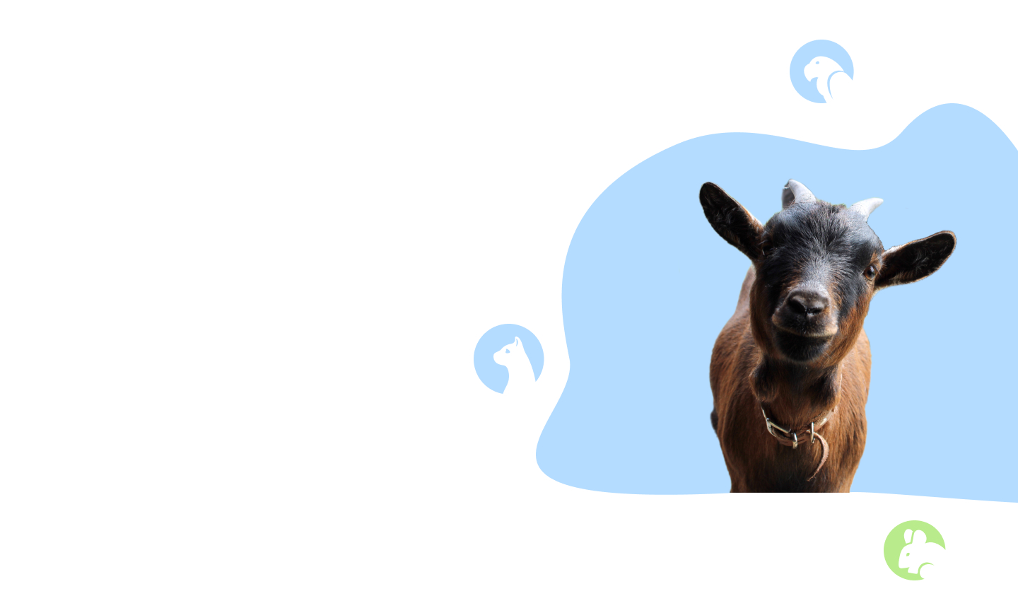 VETDOCS — Ветеринарные услуги для коз